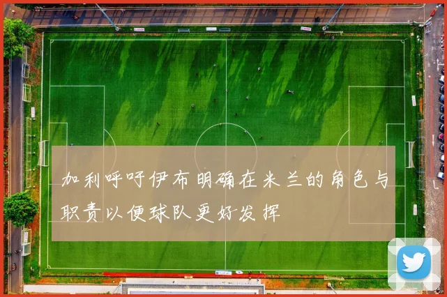 加利呼吁伊布明确在米兰的角色与职责以便球队更好发挥