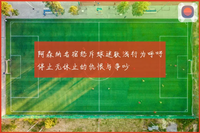 阿森纳名宿怒斥球迷肤浅行为呼吁停止无休止的仇恨与争吵